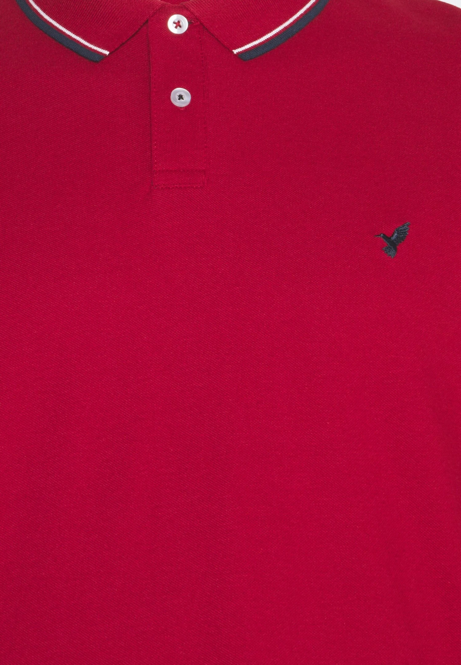 Poloshirt - Red Pier One Poloshirt - Red -Pier One Mannenmode Winkel 61ca3e6ace004a23a71bc51e96d004bf scaled
